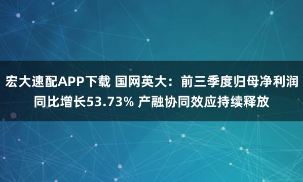 宏大速配APP下载 国网英大:前三季度归母净利润同比增长53.73% 产融协同效应持续释放