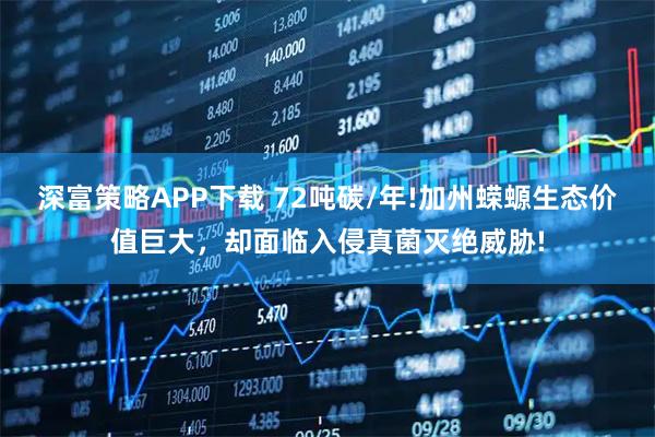 深富策略APP下载 72吨碳/年!加州蝾螈生态价值巨大，却面临入侵真菌灭绝威胁!