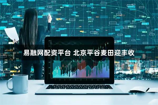 易融网配资平台 北京平谷麦田迎丰收